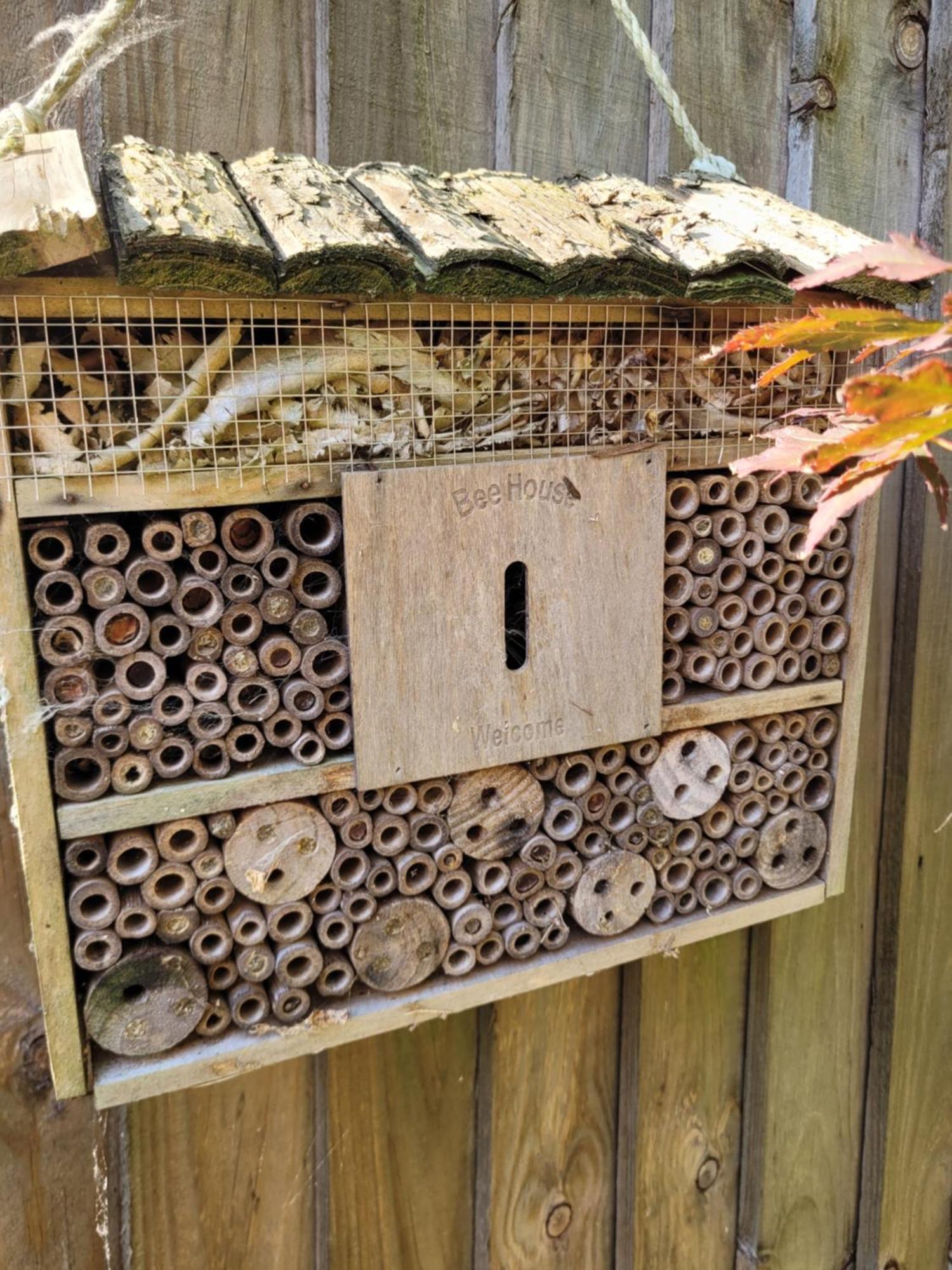 Bumblebee Bungalow - With Separate Office And Gaming Space By Catchpole Stays Colchester Exteriör bild